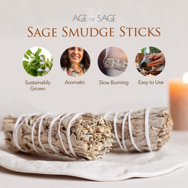 California White Sage – Purify, Protect, and Elevate Your Space