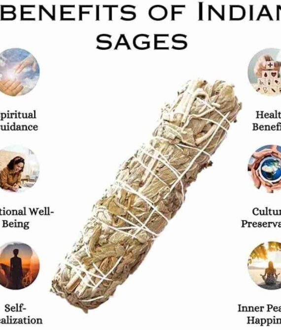 Indian Sage