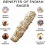 Indian Sage