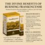 Frankincense – The All-Purpose Divine Resin